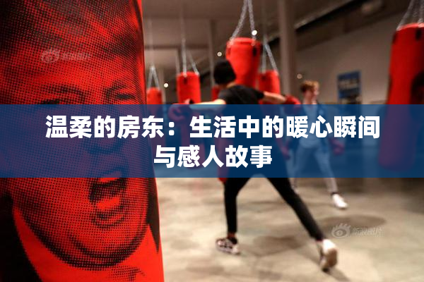 温柔的房东：生活中的暖心瞬间与感人故事