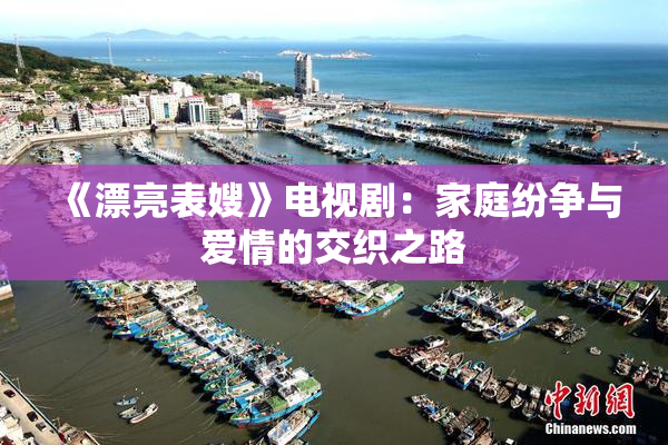 《漂亮表嫂》电视剧：家庭纷争与爱情的交织之路