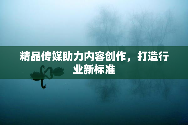 精品传媒助力内容创作，打造行业新标准