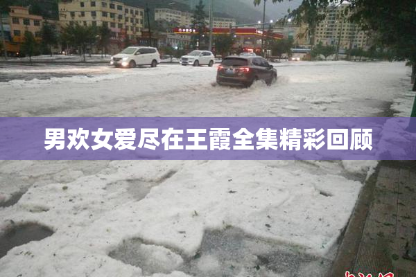 男欢女爱尽在王霞全集精彩回顾