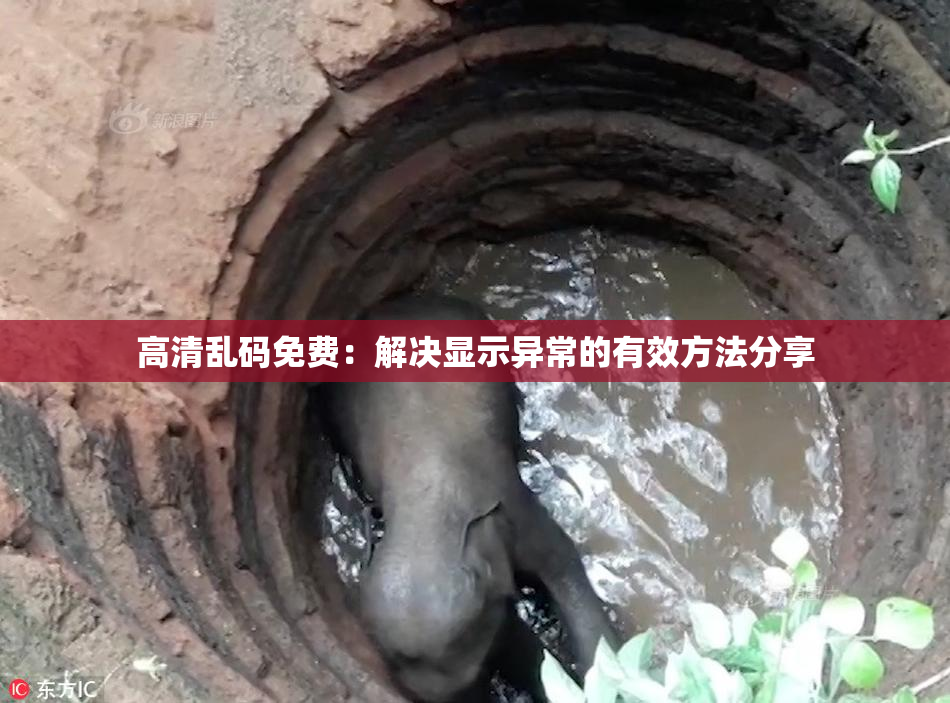 高清乱码免费：解决显示异常的有效方法分享