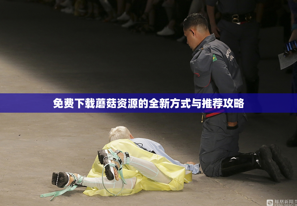 免费下载蘑菇资源的全新方式与推荐攻略