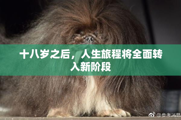 十八岁之后，人生旅程将全面转入新阶段