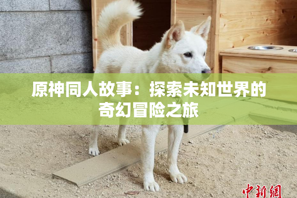 原神同人故事：探索未知世界的奇幻冒险之旅