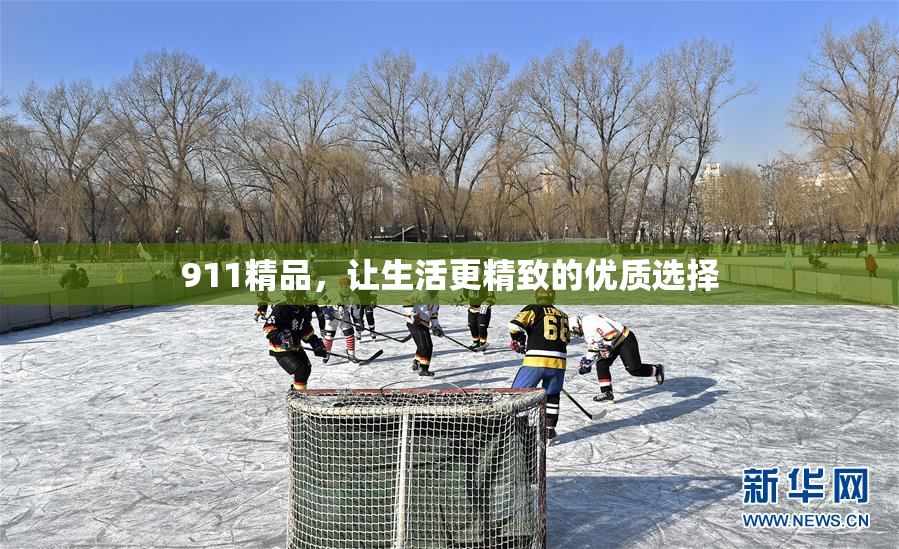 911精品，让生活更精致的优质选择