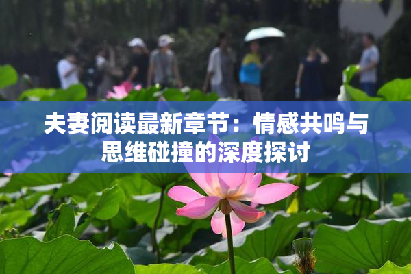 夫妻阅读最新章节：情感共鸣与思维碰撞的深度探讨