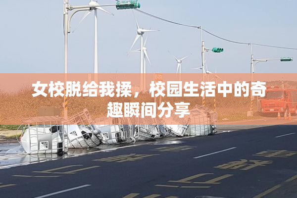 女校脱给我揉，校园生活中的奇趣瞬间分享