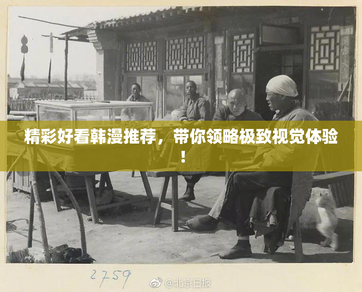 精彩好看韩漫推荐，带你领略极致视觉体验！