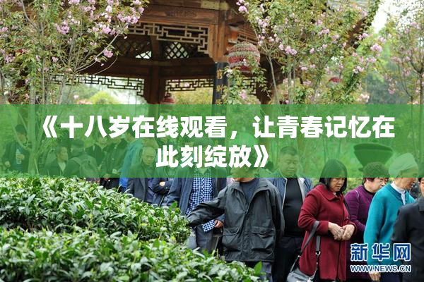 《十八岁在线观看，让青春记忆在此刻绽放》