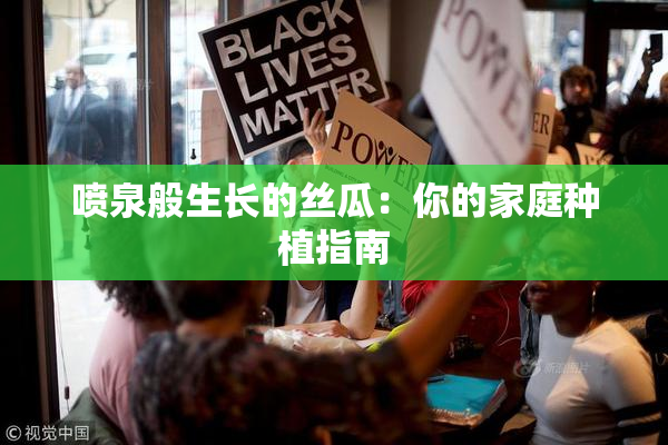喷泉般生长的丝瓜：你的家庭种植指南