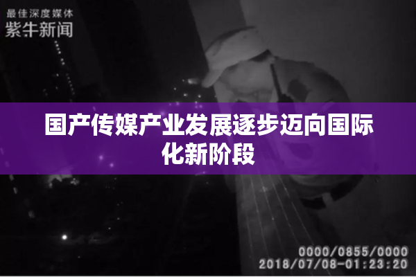 国产传媒产业发展逐步迈向国际化新阶段