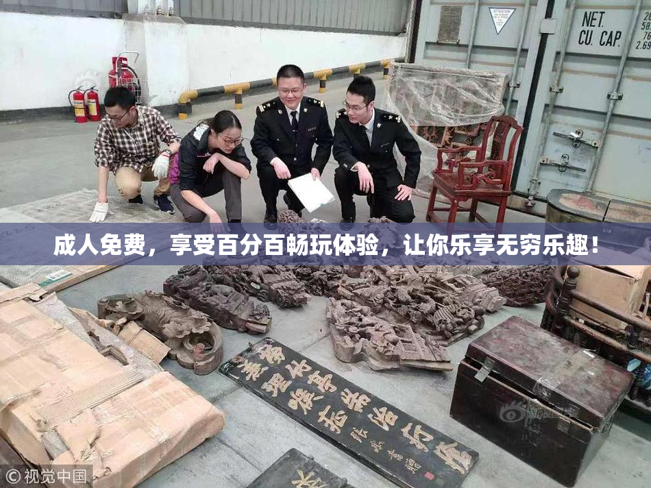 成人免费，享受百分百畅玩体验，让你乐享无穷乐趣！