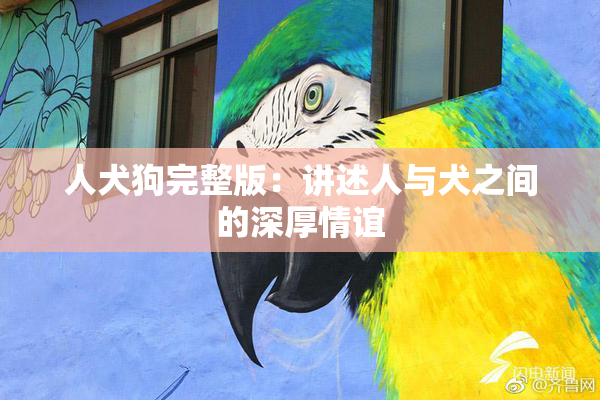 人犬狗完整版：讲述人与犬之间的深厚情谊
