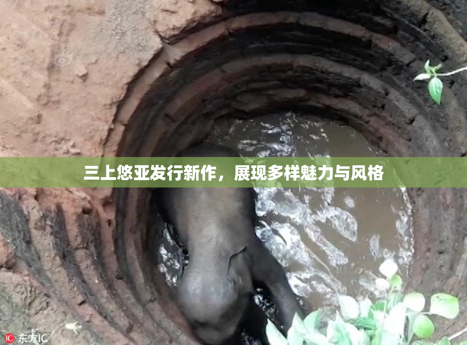 三上悠亚发行新作，展现多样魅力与风格