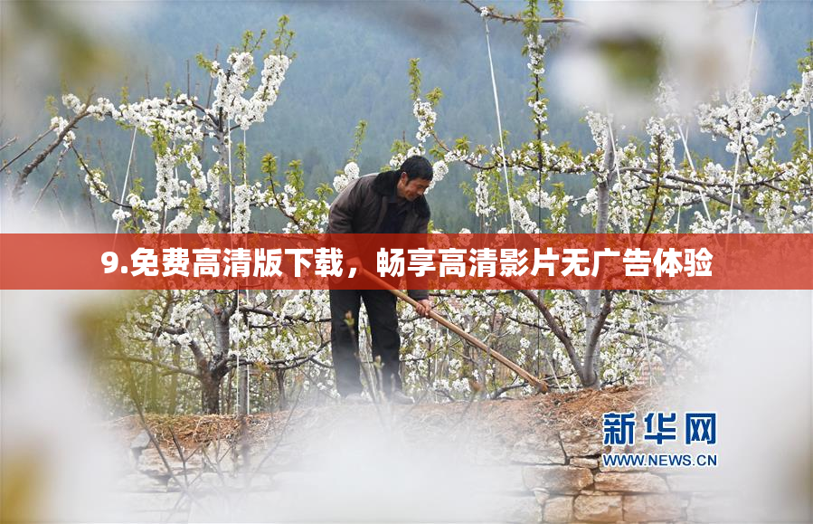 9.免费高清版下载，畅享高清影片无广告体验