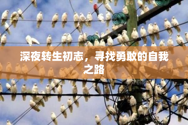 深夜转生初志，寻找勇敢的自我之路