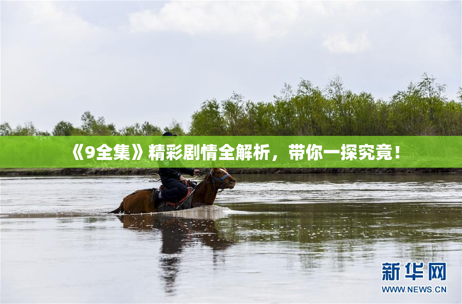 《9全集》精彩剧情全解析，带你一探究竟！