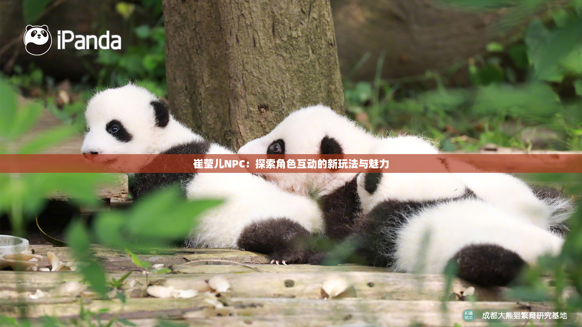 崔莹儿NPC：探索角色互动的新玩法与魅力