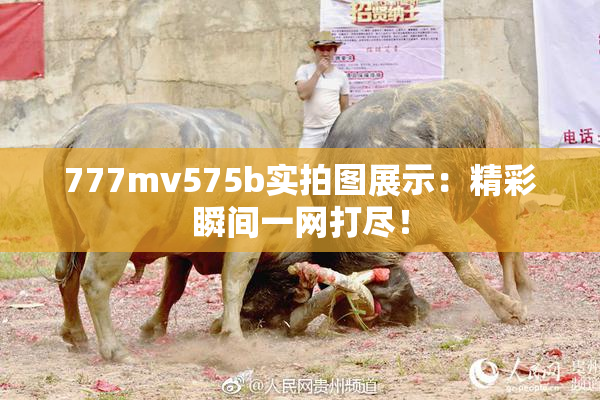777mv575b实拍图展示：精彩瞬间一网打尽！