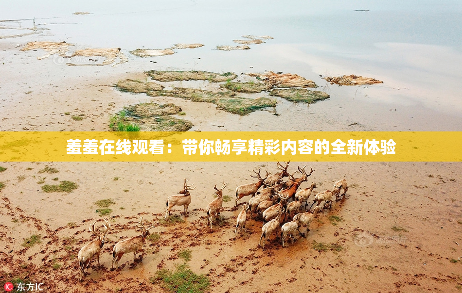 羞羞在线观看：带你畅享精彩内容的全新体验