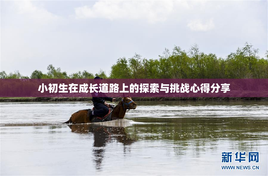 小初生在成长道路上的探索与挑战心得分享