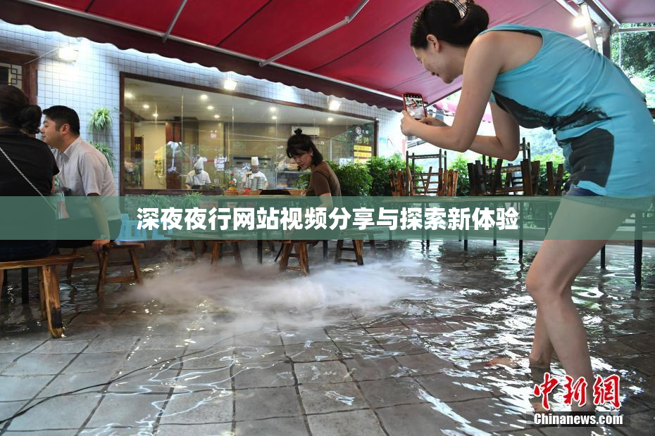 深夜夜行网站视频分享与探索新体验