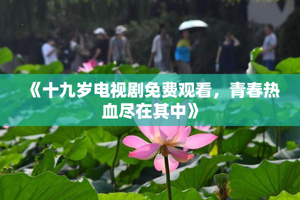《十九岁电视剧免费观看，青春热血尽在其中》