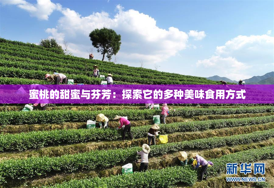 蜜桃的甜蜜与芬芳：探索它的多种美味食用方式