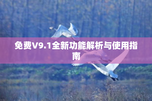 免费V9.1全新功能解析与使用指南