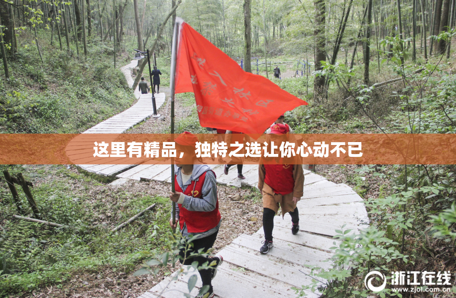这里有精品，独特之选让你心动不已