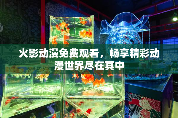 火影动漫免费观看，畅享精彩动漫世界尽在其中