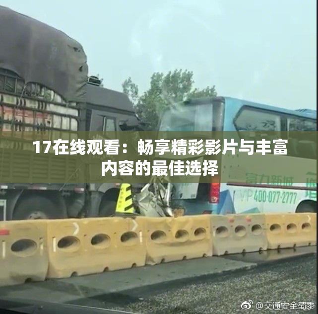 17在线观看：畅享精彩影片与丰富内容的最佳选择