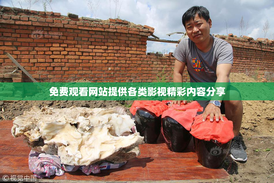 免费观看网站提供各类影视精彩内容分享
