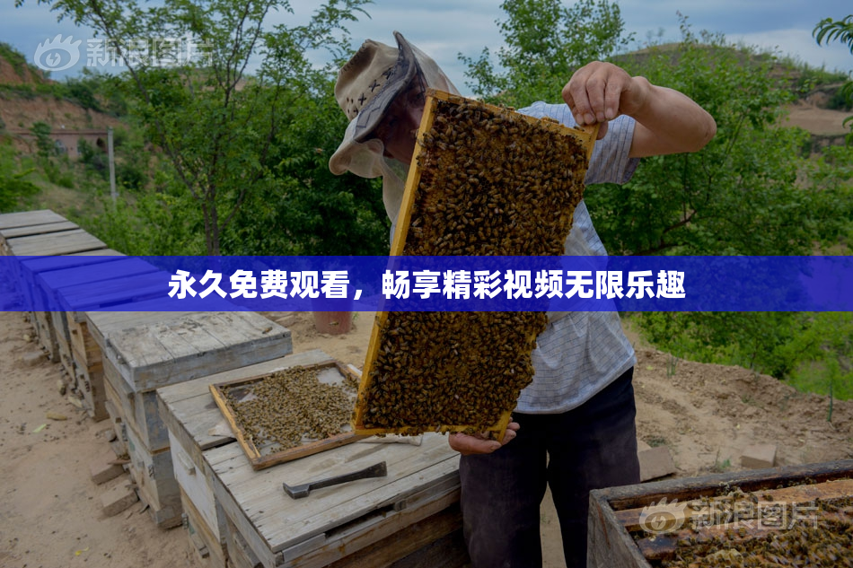 永久免费观看，畅享精彩视频无限乐趣