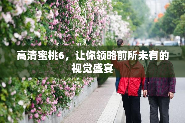 高清蜜桃6，让你领略前所未有的视觉盛宴