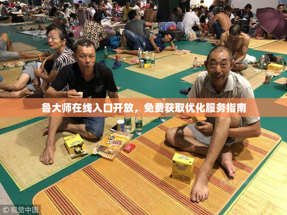 鲁大师在线入口开放，免费获取优化服务指南