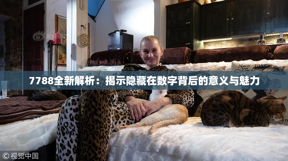 7788全新解析：揭示隐藏在数字背后的意义与魅力
