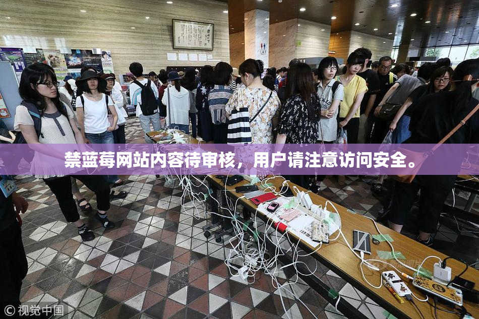 禁蓝莓网站内容待审核，用户请注意访问安全。