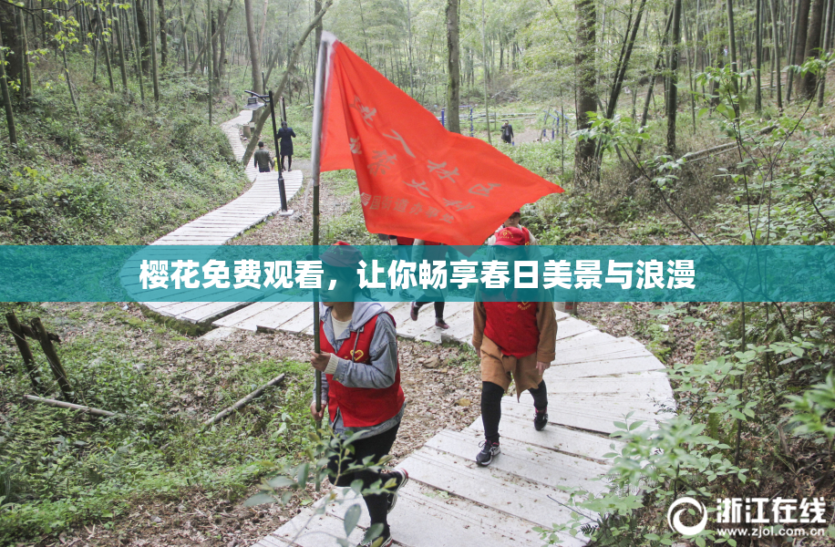 樱花免费观看，让你畅享春日美景与浪漫