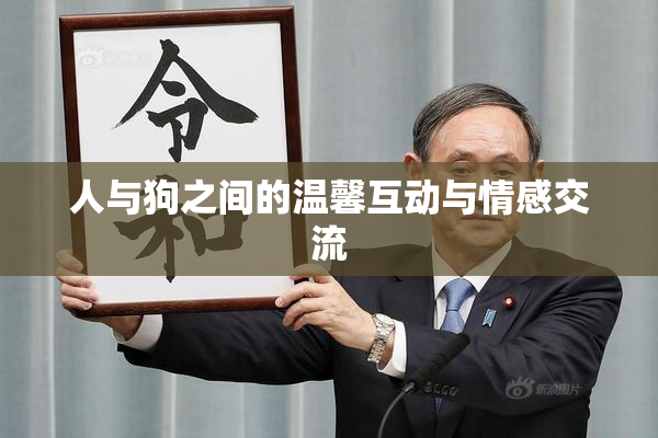 人与狗之间的温馨互动与情感交流