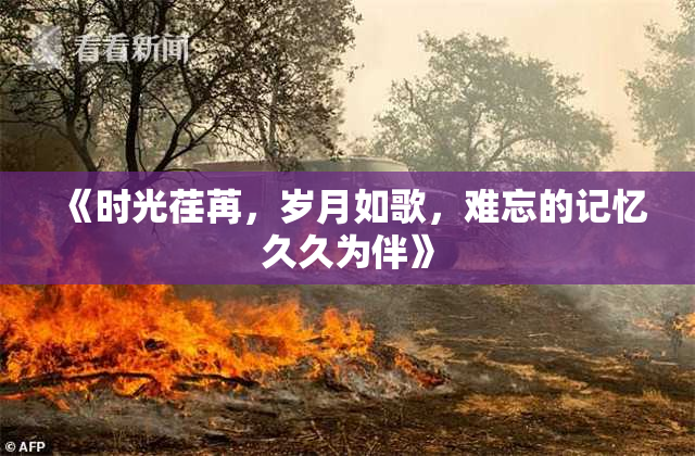 《时光荏苒，岁月如歌，难忘的记忆久久为伴》