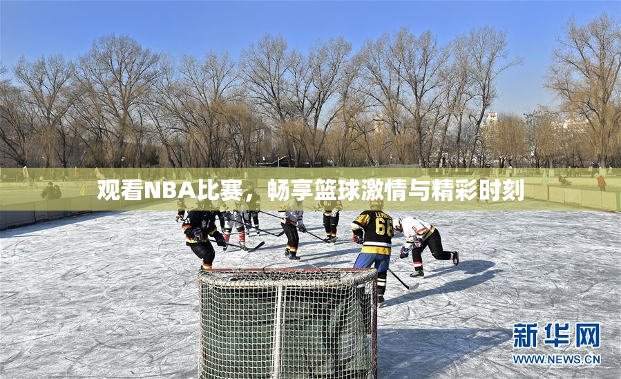 观看NBA比赛，畅享篮球激情与精彩时刻