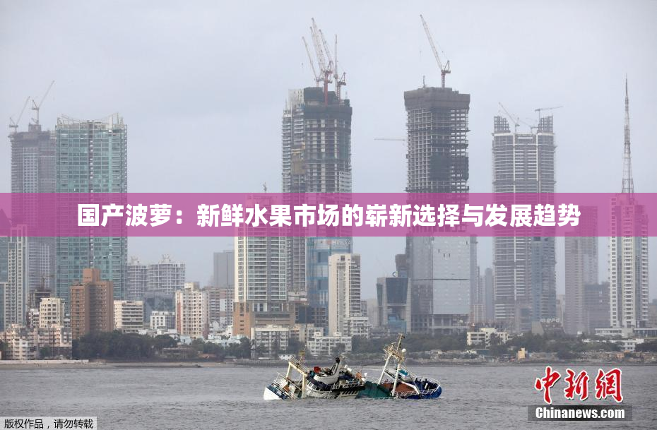 国产波萝：新鲜水果市场的崭新选择与发展趋势