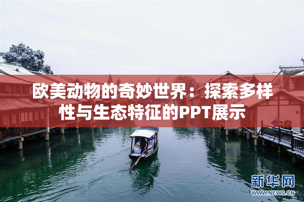 欧美动物的奇妙世界：探索多样性与生态特征的PPT展示