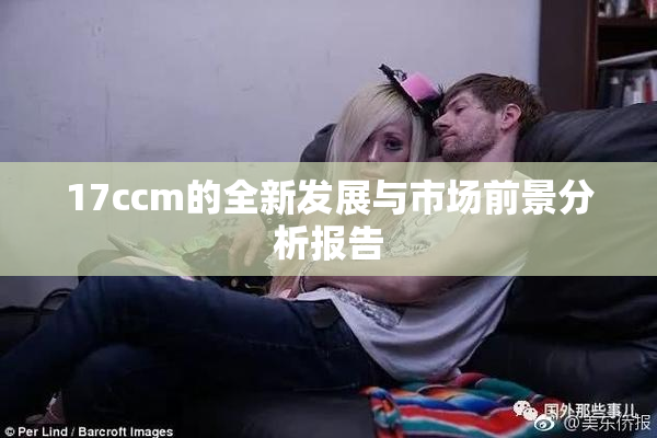17ccm的全新发展与市场前景分析报告