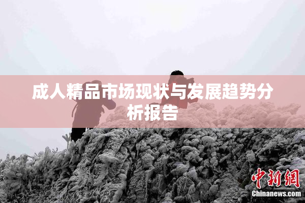 成人精品市场现状与发展趋势分析报告