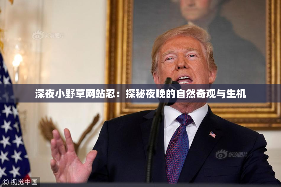 深夜小野草网站忍：探秘夜晚的自然奇观与生机