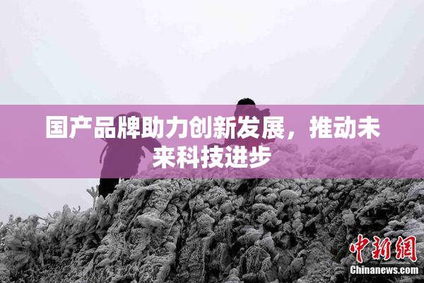 国产品牌助力创新发展，推动未来科技进步