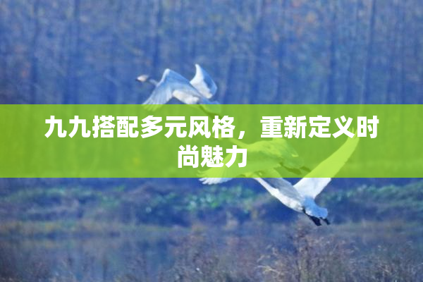 九九搭配多元风格，重新定义时尚魅力