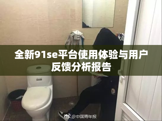 全新91se平台使用体验与用户反馈分析报告